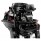 Лодочный мотор GLADIATOR G9.9PRO FES 9.9 л.с двухтактный