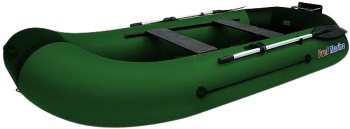 Надувная лодка ProfMarine PM 300 Т зеленый